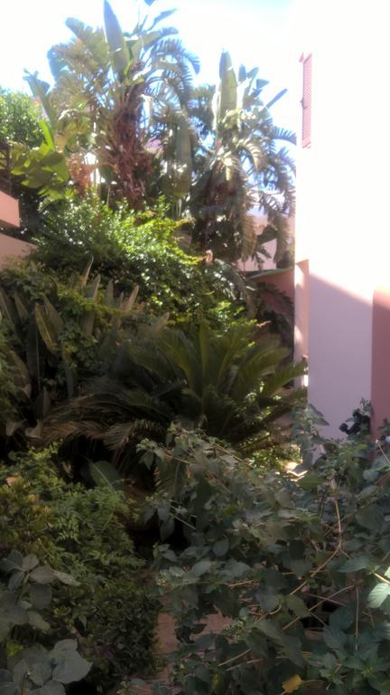 Apartmán Rosmarino Kíssamos Exteriér fotografie
